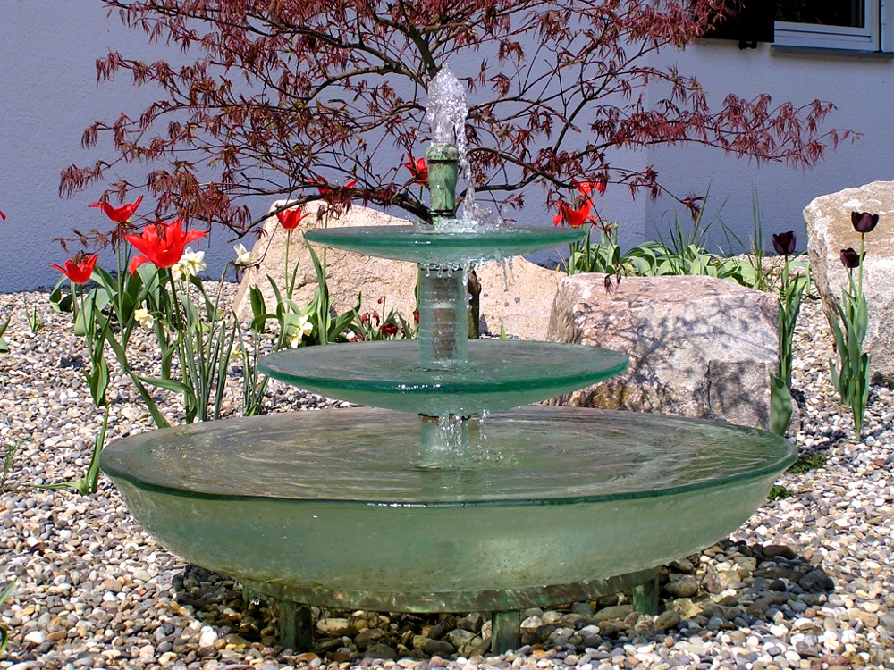 Kiesgarten Wasserspiel, Acer dissectum 'Atropurpureum', Rotblättriger Schlitzahorn