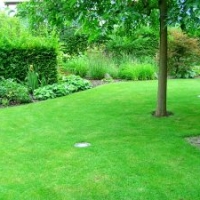 Gartenpflege: Rasenpflege und Heckenschnitt