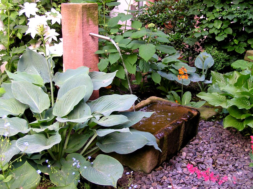 Gartengestaltung: Schattenpflanzung mit Hosta sieboldiana 'Blue Angel', Hortensien, Sandsteinbrunnen