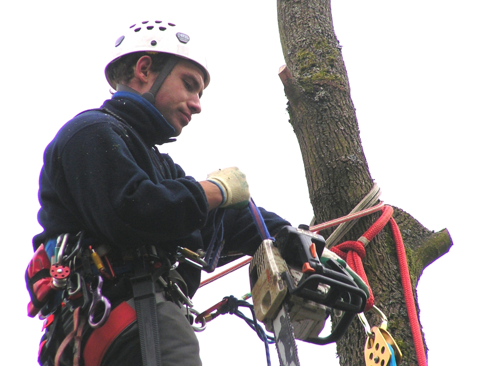 schnelle, sichere, schonende Baumpflege: Baumfällung in SeilklettertechnikUnser Partner, wenn es um Baumpflege und schwierige Baumfällung geht