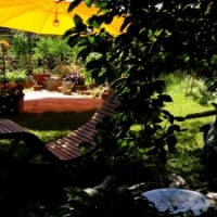 Gartengestaltung mit Gartenliege aus Robinie und GLATZ Pendalex-Sonnenschirm