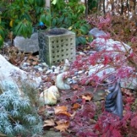 Gartengestaltung: Japan-Garten-Eckchen mit Granitbrunnen Ginkakuji Mizubachi, Japan-Ahorn, Rhododendron und Kieseln